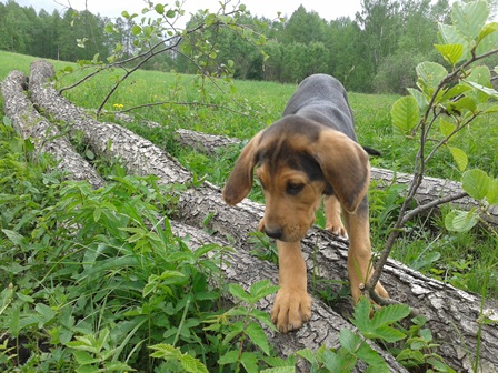 20130521_141119 a.jpg