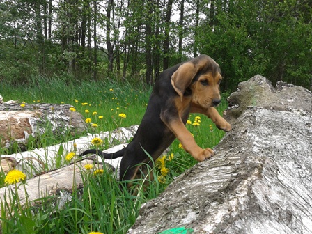 20130521_141628 a.jpg
