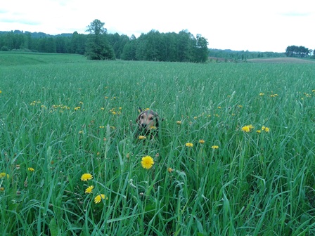20130521_142656 a.jpg