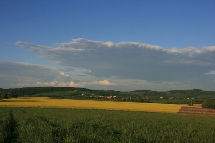 oraz jej maluchów.