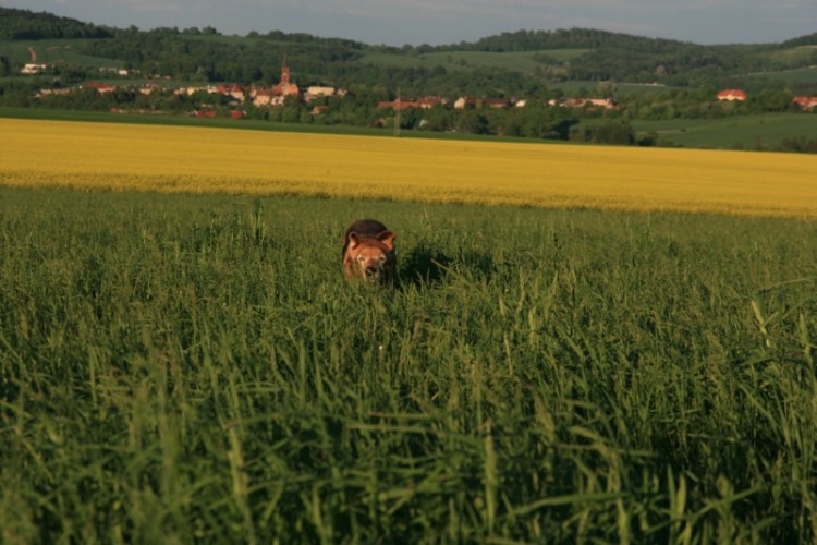 zobaczymy co z tego wyniknie...