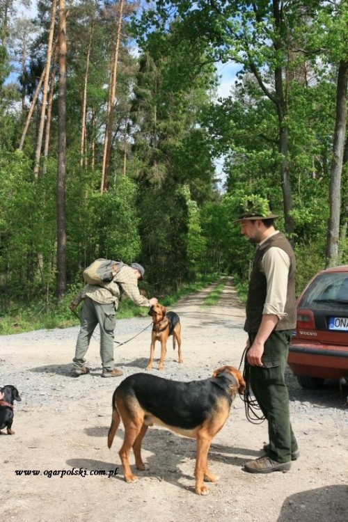 Przed konkursem