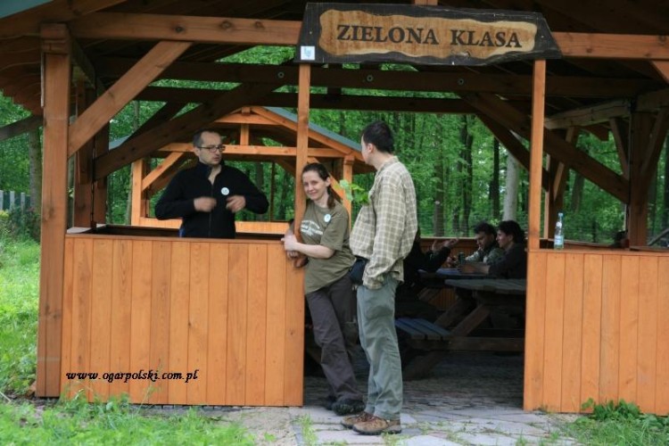 Zielona klasa, ogarza klasa.