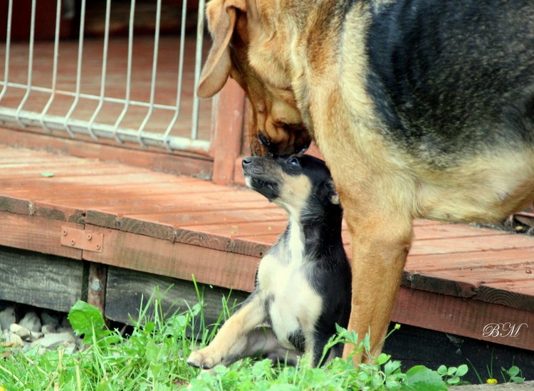 Kocham Cię moja nowa mamusiu :)