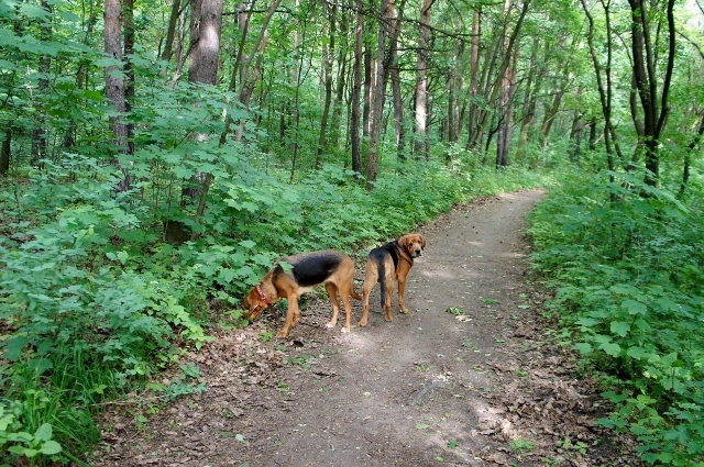 DSC06380 (640x425).jpg