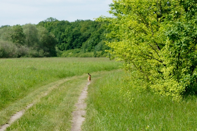 DSC06375 (640x426).jpg