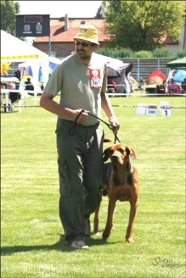 IMG_8911m.jpg