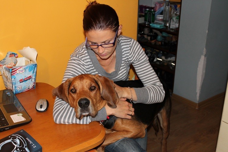 zrelaksowany pieso...