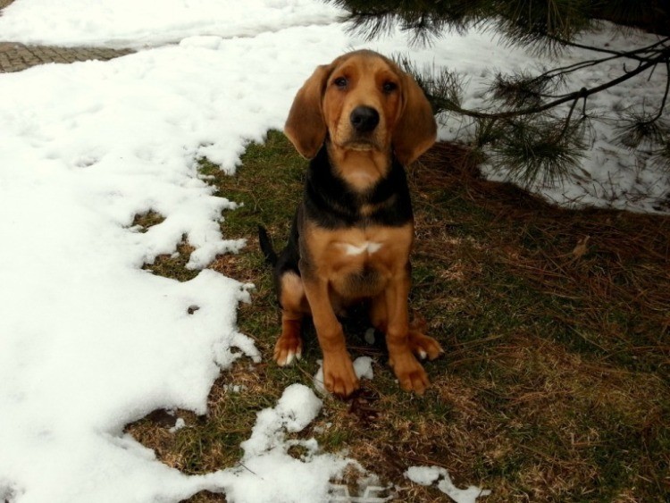 20130401_145011.jpg