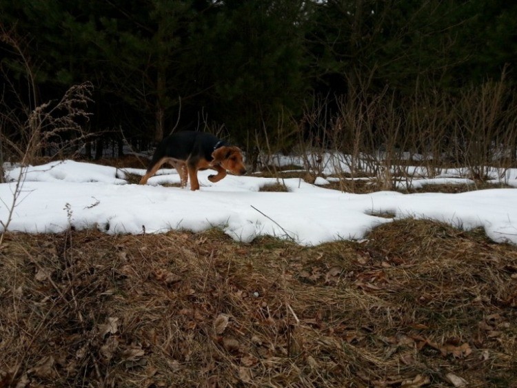 20130401_163756.jpg