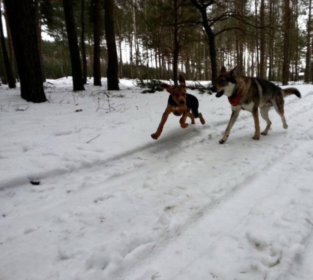 20130401_164333.jpg