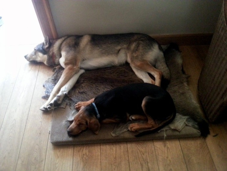 20130414_151336.jpg