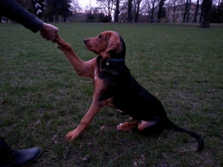 20130423_201532.jpg
