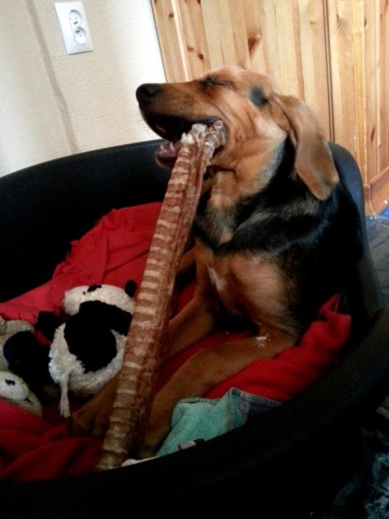 20130427_123626.jpg
