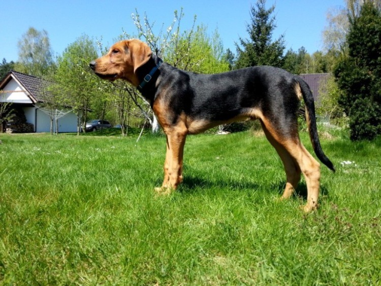 20130504_131011.jpg
