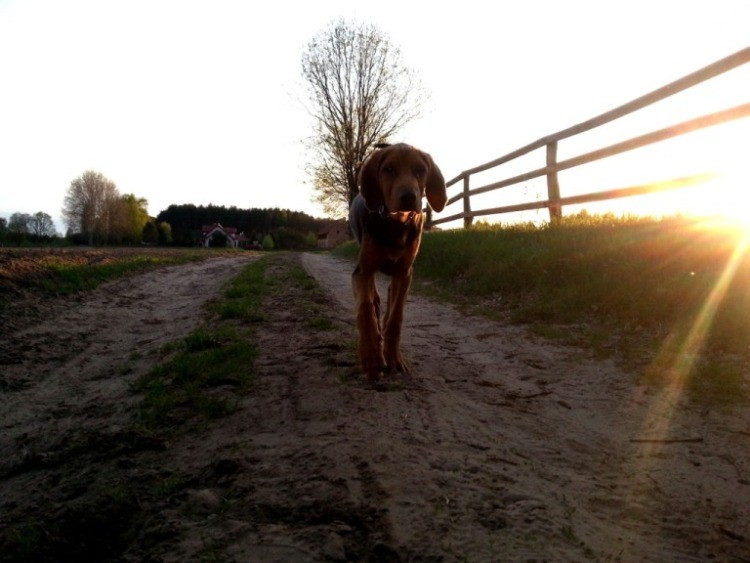 20130504_194731.jpg