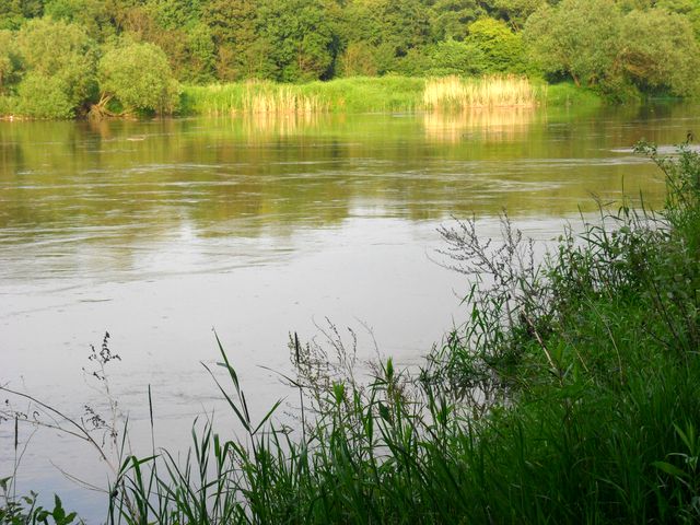 Nad Odrą