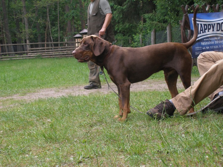 uczestnicy