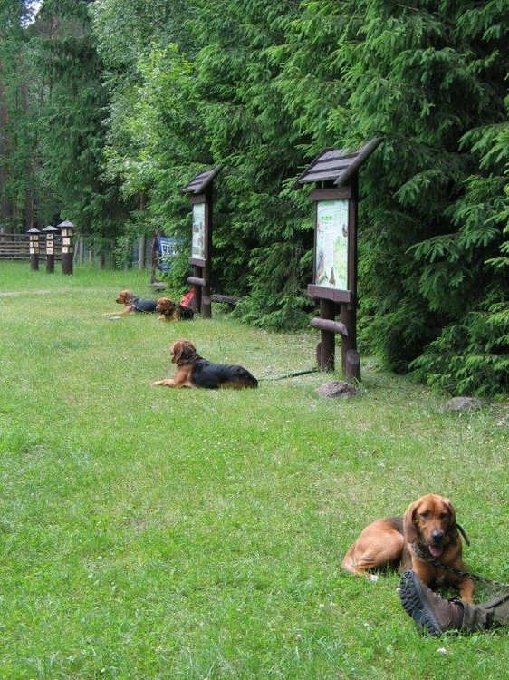 czekanie na zakonczenie bylo dluugie