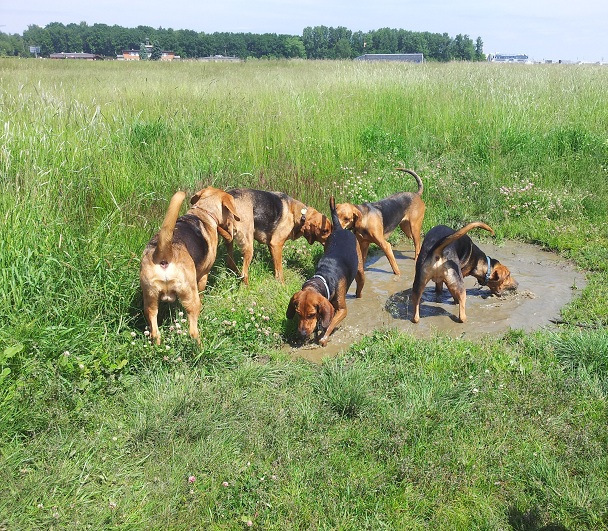 20130616_111230.jpg