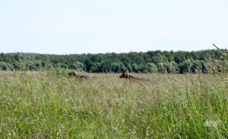 IMG_8133.JPG