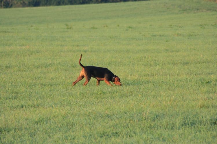spacer sierpień 004.jpg