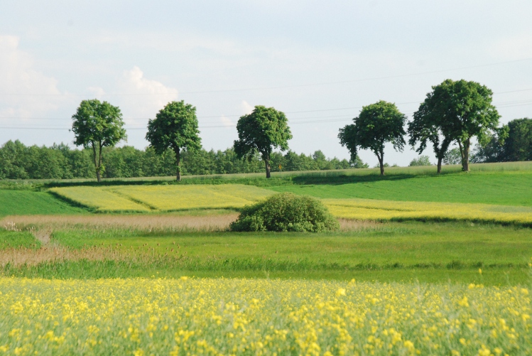 DSC_0020.JPG