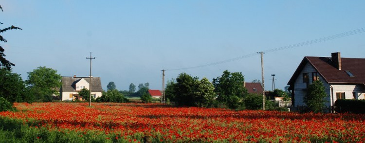 DSC_0087.JPG