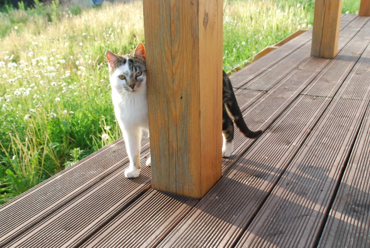 DSC_0038.JPG