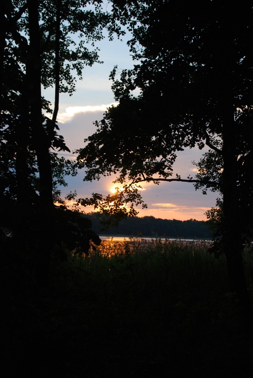 DSC_0084.JPG