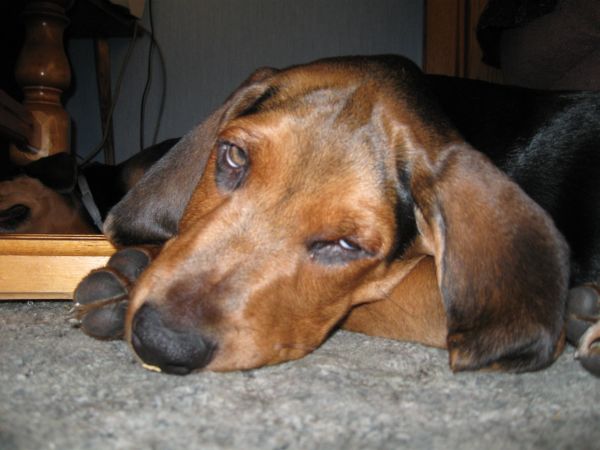 IMG_1223.JPG