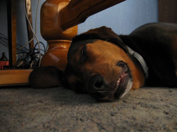 IMG_1225.JPG