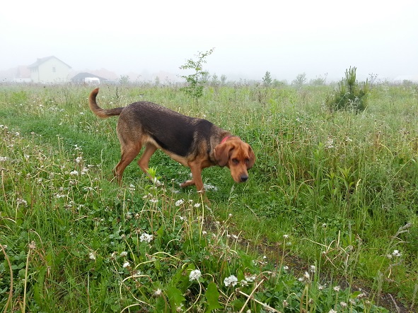 bajka6.jpg