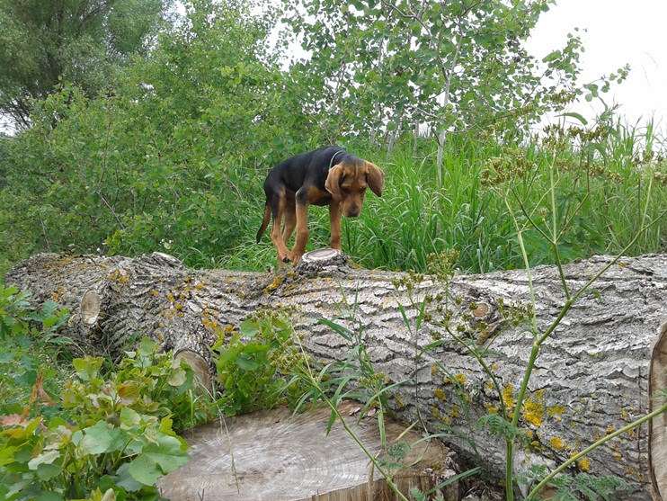 20130624_084626.jpg