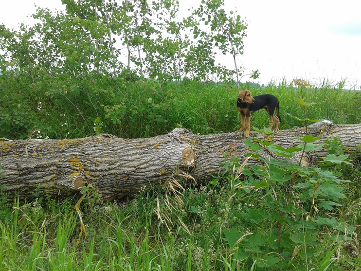 20130624_085118.jpg