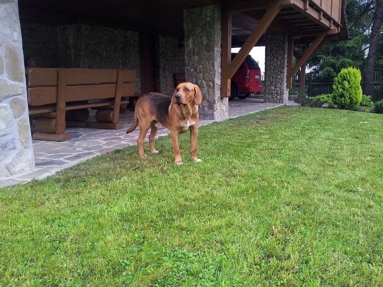 20130630_164420.jpg