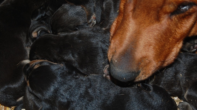 DSC_9821.JPG
