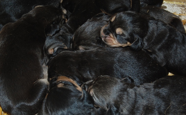 DSC_9822.JPG