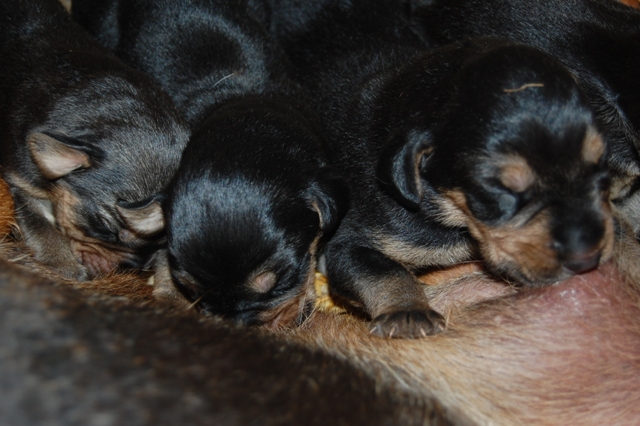 DSC_9829.JPG