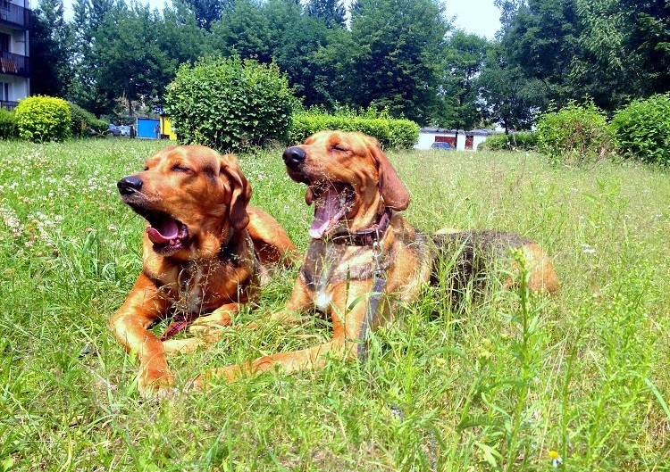 foto1.jpg
