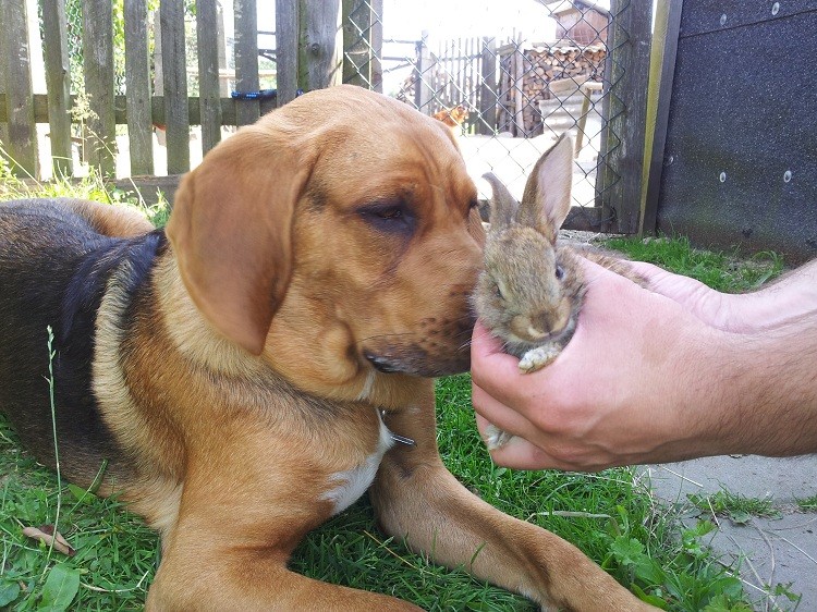 20130710_100603.jpg