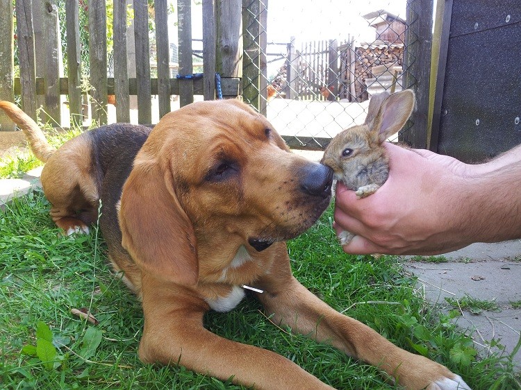 20130710_100606.jpg
