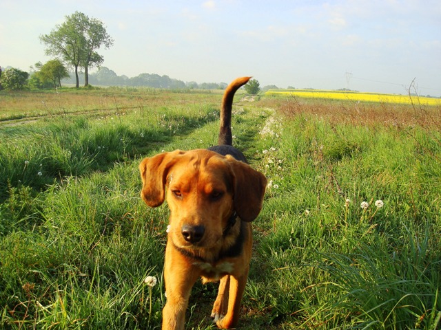 small DSC04993.JPG