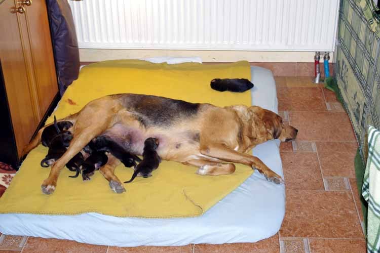 Babcia Dunia, Iskra i rodzeństwo.jpg