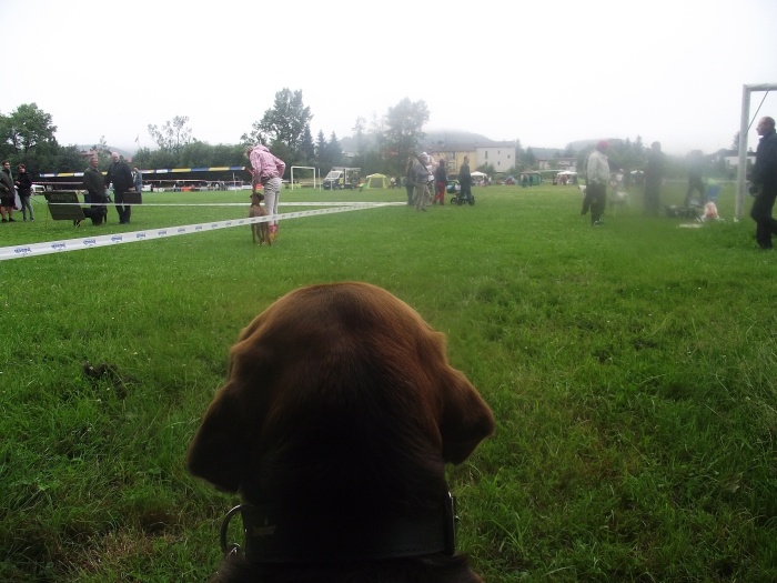 DSCF3069.JPG