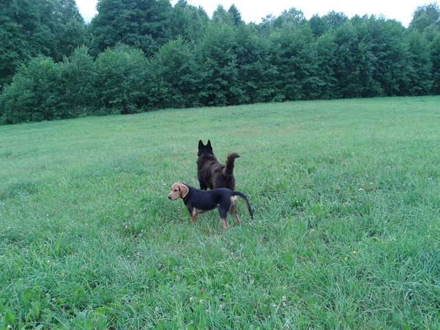 20130716_102508.jpg