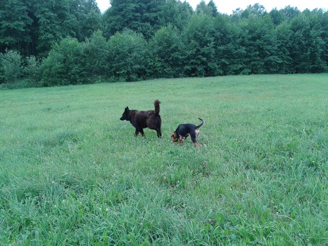 20130716_102515.jpg
