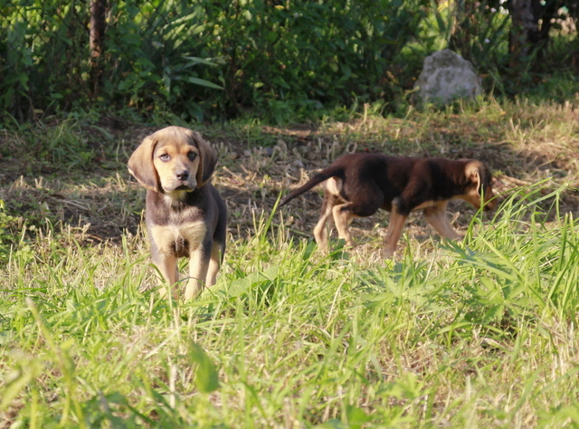 _MG_6067.JPG