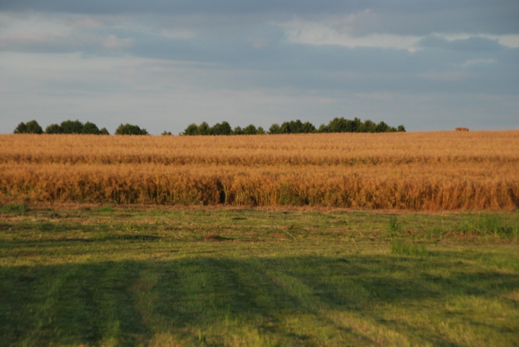DSC_0007.JPG