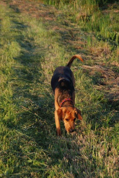 DSC_0010.JPG